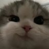 Keanu profil fotoğrafı