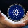 Cardano4aLL profil fotoğrafı