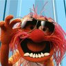 Фото профиля Dead Muppet