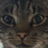 Mineek profil fotoğrafı