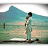 Sadatullah Safi0313 的头像