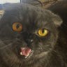 Profilbild von kiki