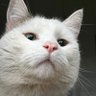 Profilbild von yanetacur 38%. seguimos con todo