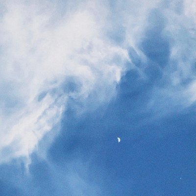 rollsanalog ☻'s profile picture