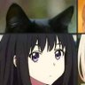 fake neet STEMcel 🌸✨'s profile picture