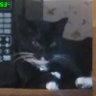 MandyMe's profile picture