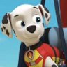 chasexmarshallforever1's profile picture