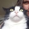 Susie Q's profile picture