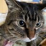 ちろ's profile picture