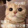 快意人生's profile picture
