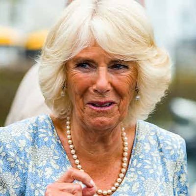 HRM Camilla (Parody)'s profile picture