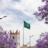 نبض الجنوب 🍃 profil fotoğrafı
