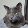 ぎんさん(投資4年目) profil fotoğrafı