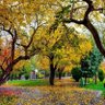 Фото профиля Omer Omeri