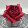 市川 雅広🧚♀️🌷はな組's profile picture