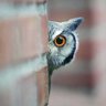 Fadila profil fotoğrafı