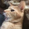 きり profil fotoğrafı