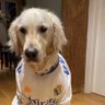 TheportugalLad🇵🇹 profil fotoğrafı