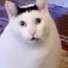 MCVarg98 profil fotoğrafı