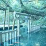 睡眠導入剤 的头像