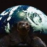 Stephen's profile picture