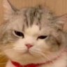 Profilbild von Sean