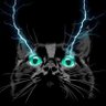 PlasmaCat⚡️'s profile picture