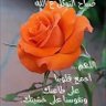 المروتشي.ZA 的头像