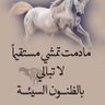 نايف الراشد 的头像