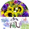 ま(°リ°)な profil fotoğrafı
