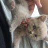 Фото профиля Sabri