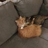 Paine/Mizrey '28 profil fotoğrafı