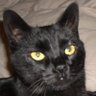 Profilbild von Frankie Fuzzface