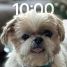 gio paratiritis's profile picture
