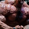 MuscleGrowthMorph 的头像