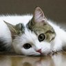 デラぞー profil fotoğrafı