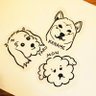 ぱるもんかなめ🎶とヌシA 的头像
