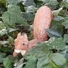 Фото профиля こまこま