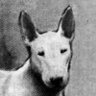 Profilbild von donald boat