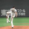 Profilbild von さか