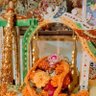 Prachi Dubey's profile picture