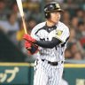 東京の虎's profile picture