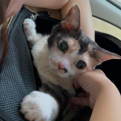 miiiiiiiii0418's profile picture
