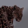 ناهيه profil fotoğrafı