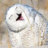 Profilbild von Jason