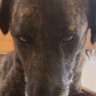 yoav's profile picture