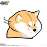 losa's profile picture