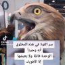 ابو العنود الراشدي profil fotoğrafı