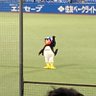Profilbild von ヤクルトのヤクルト割