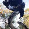 FloatingRibs's profile picture